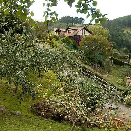 Trisqueles Y Buganvillas Ii