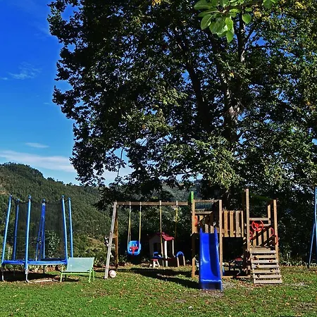Trisqueles Y Buganvillas Ii